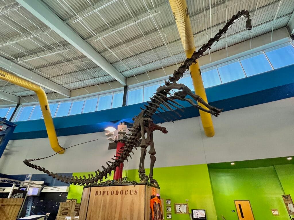 Diplodocous at MOSI