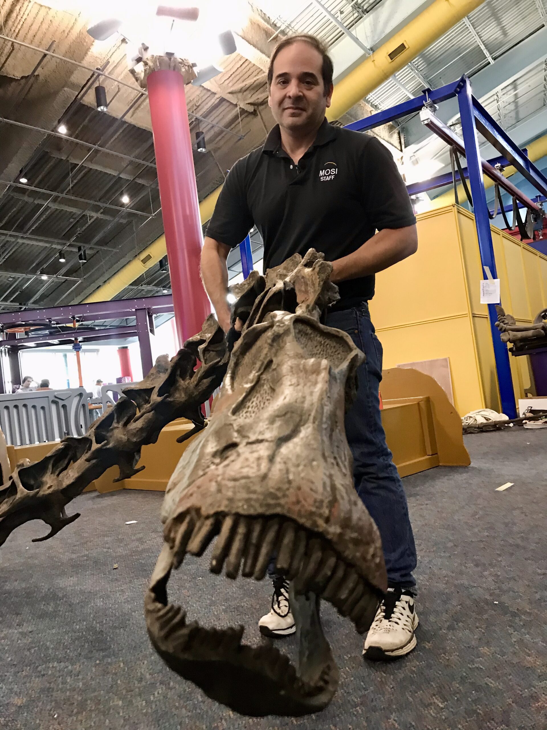 The author Anthony Pelaez is holding the neck and head of the diplodocus sculpture during installation at MOSI. Photo by Laura Byrne.