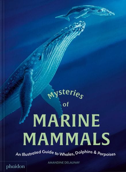 Mysteries of Marine Mammals, By Amandine Delaunay