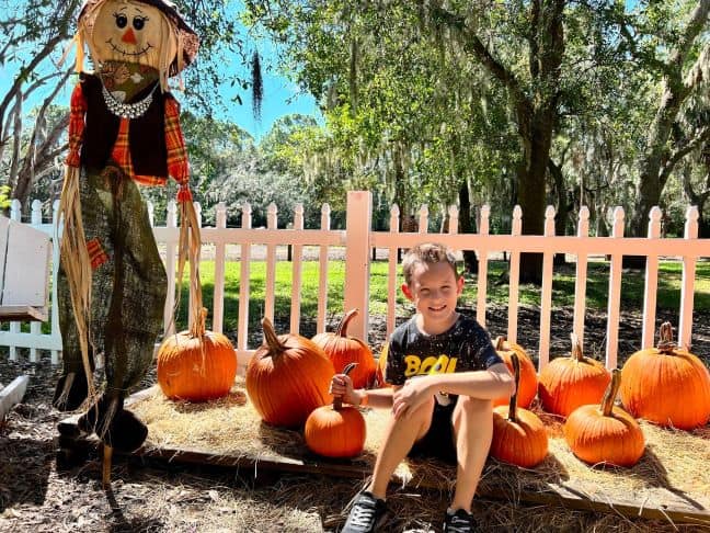 20+ Adorable Fall Festivals in Tampa Bay for Kids