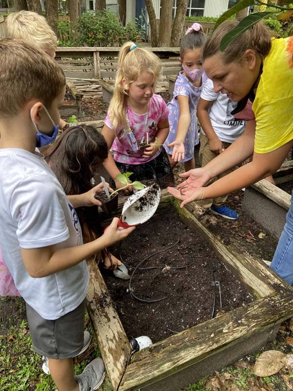 lifelong learning, teacher demonstrates garden