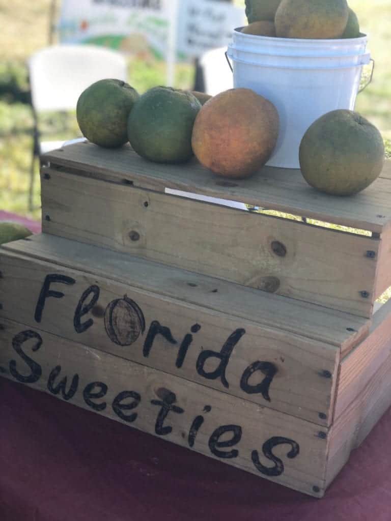 Florida-Sweeties-u-Pick-Farms-Tampa-Bay