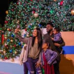 Best Christmas Lights in Tampa Bay Christmas in the Wild at ZooTampa