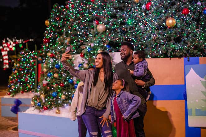 Christmas in the Wild at ZooTampa
