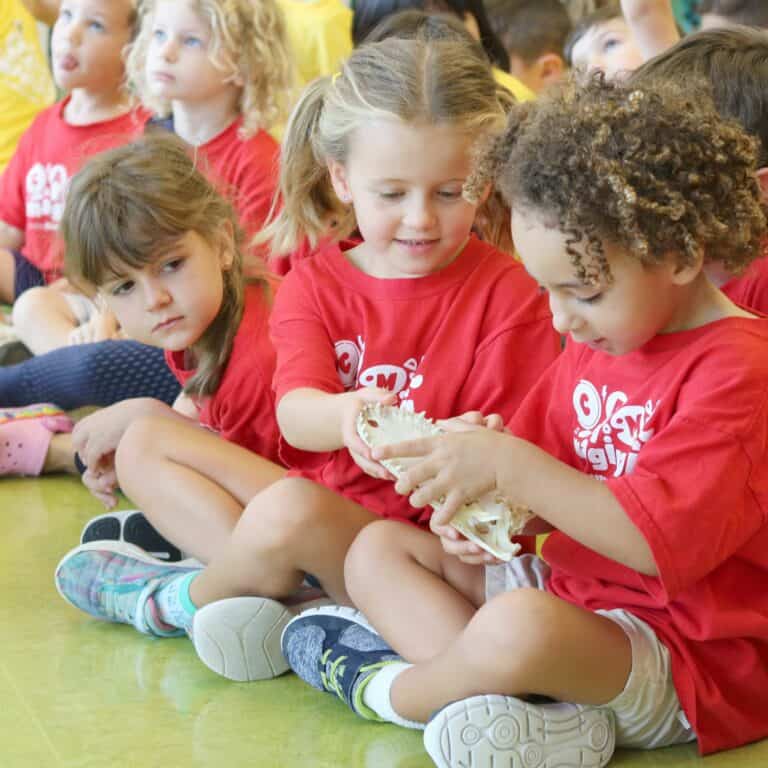 The Best Summer Camps for Preschoolers and Little Kids