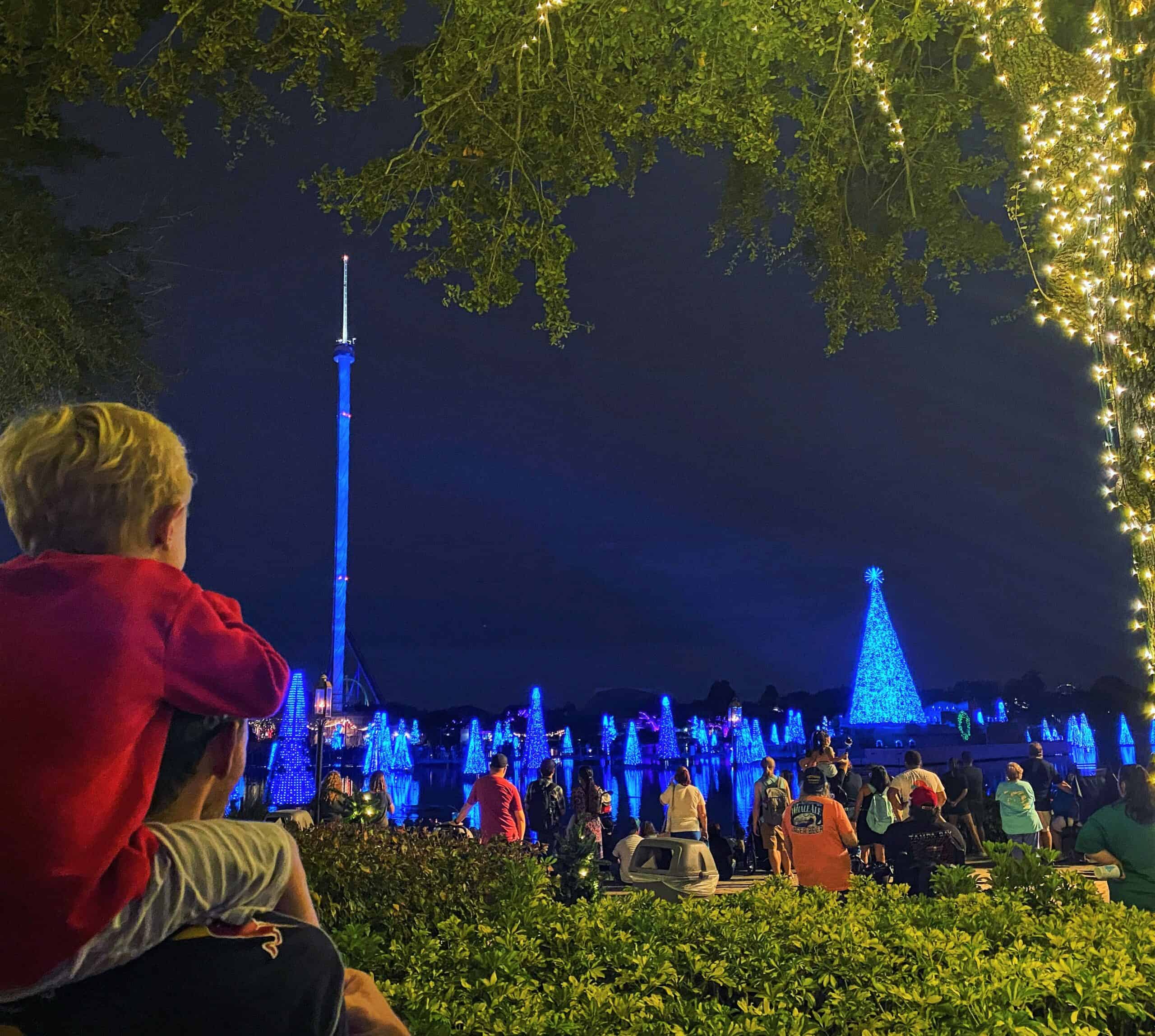 Cap off your night with Sea of Trees - this photo was taken at night. A father wearing a dark colored t-shirt has his back to the camera, with his three year old son on his shoulders who is wearing a red long sleeve shirt. A tree with white christmas lights is in the foreground and multiple Christmas trees with blue LED lights is in the background.  