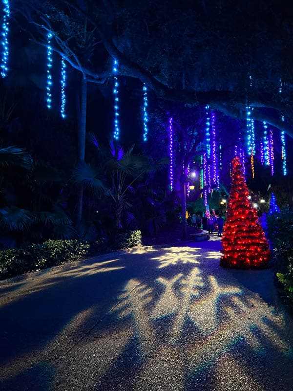 Christmas Town Lights near Sesame Street Safari of Fun