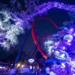 Black Friday deals at Tampa Bay and Florida attractions