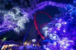 Black Friday deals at Tampa Bay and Florida attractions