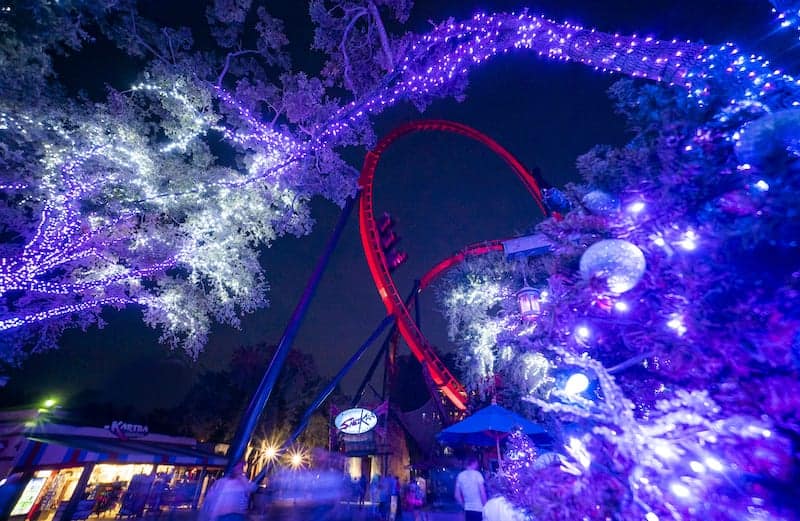 Black Friday deals at Tampa Bay and Florida attractions