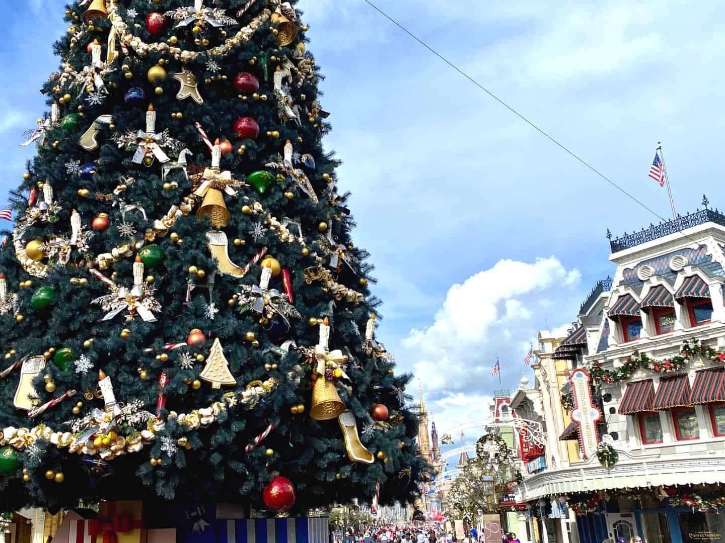 Christmas Tree at Magic Kingdom - Dani Meyering