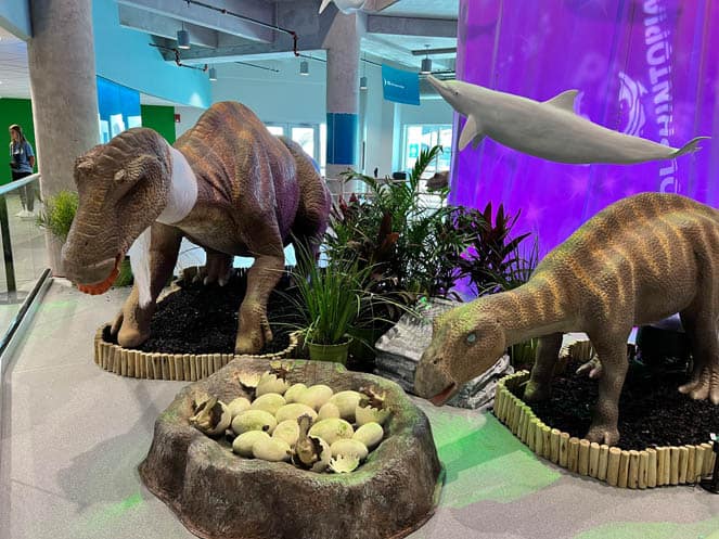 Dinosaurs and Dolphins Take Over Clearwater Marine Aquarium!
