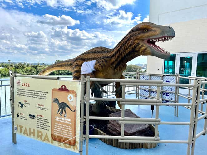Dino Rescue at Clearwater Marine Aquarium