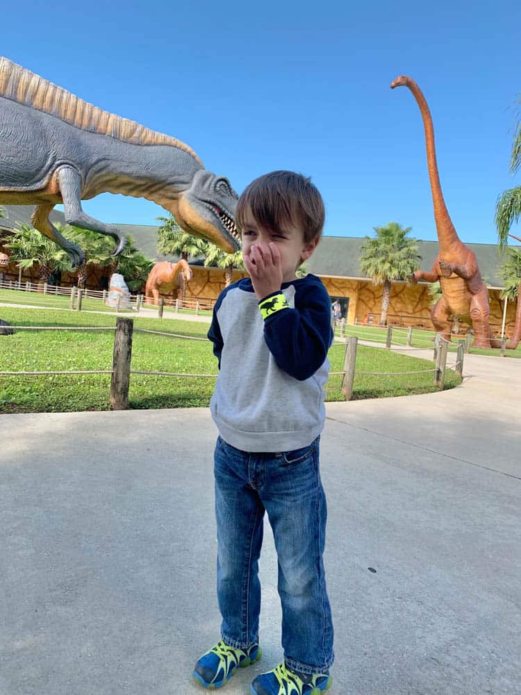 Things to Do with Toddlers in Tampa Bay Dinosaur World