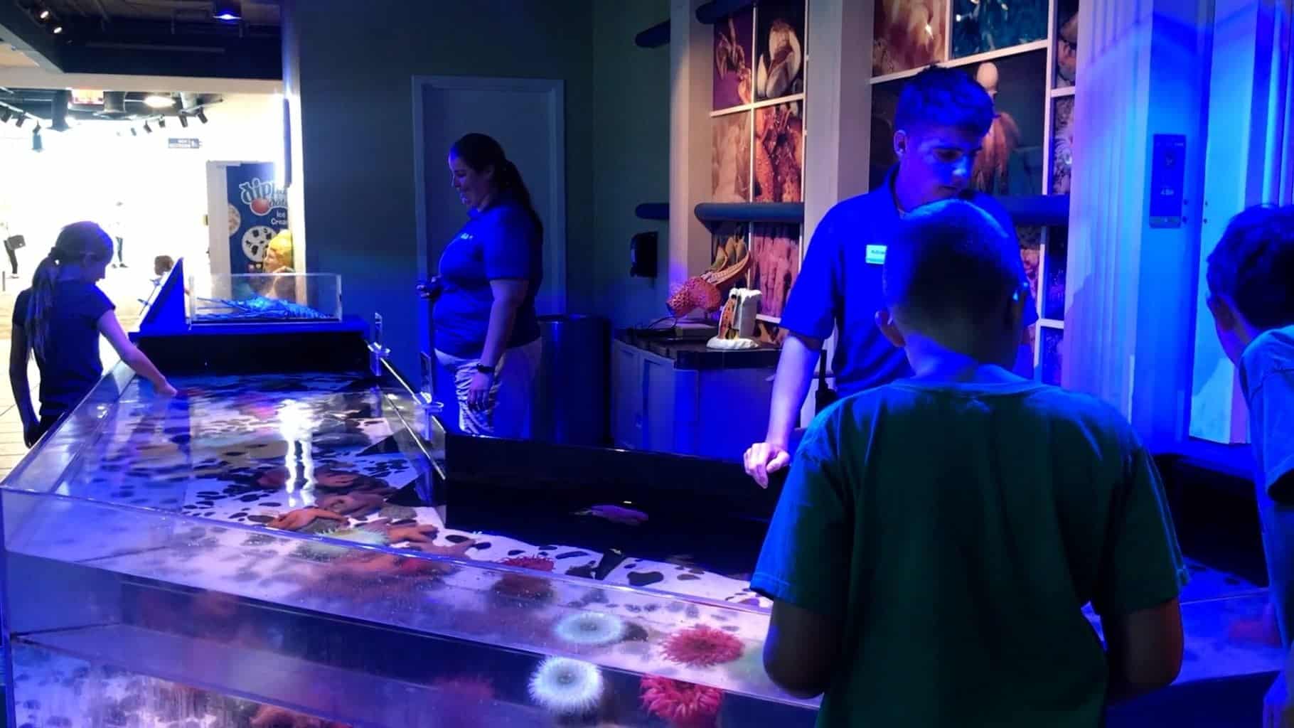 The Florida Aquarium Animal Experiences in Tampa Bay
