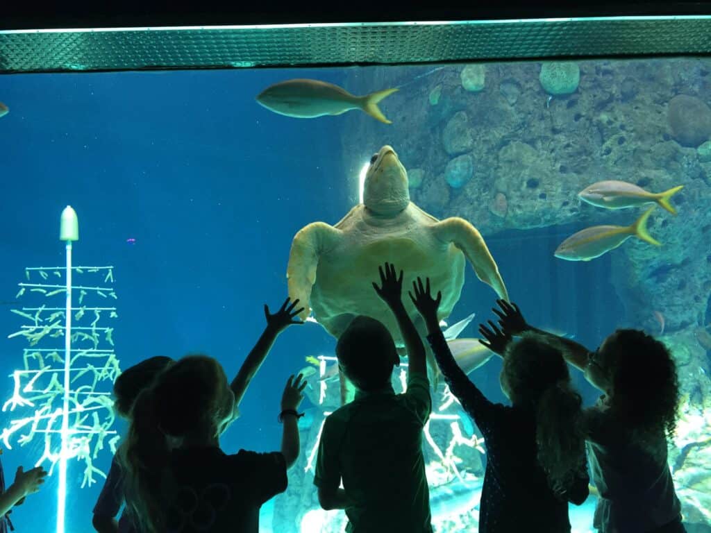 Spring Break Camps in Tampa Bay