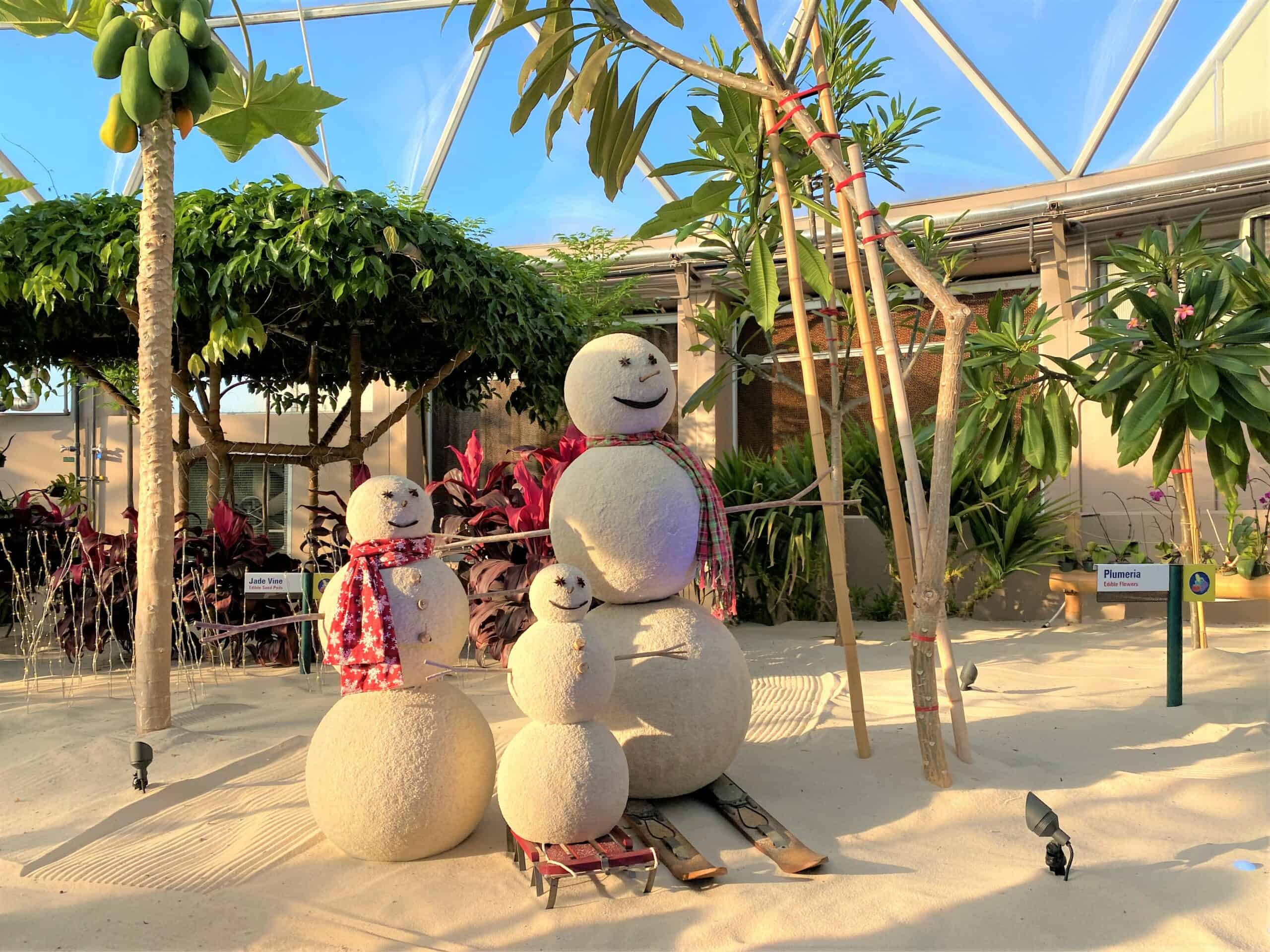 Festive Decorations at Living with the Land Boat Ride include a trio family of snowmen made from sand with tropical plants behind them