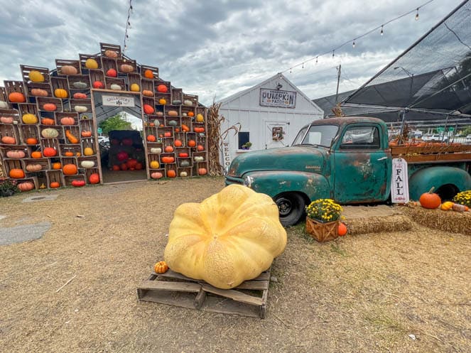 Gallagher's Pumpkins Truck and Giant Pumpkin