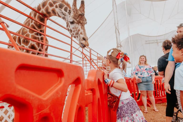 Our Favorite Things to Do with the kids at the Florida State Fair!