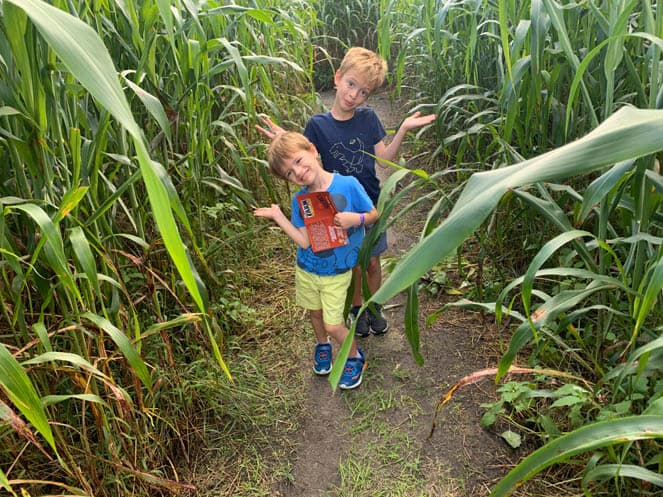 HarvestMoon Corn Maze path
