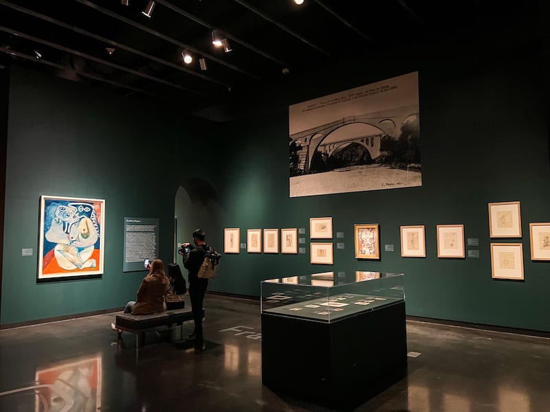 Picasso and the Allure of the South at The Dali