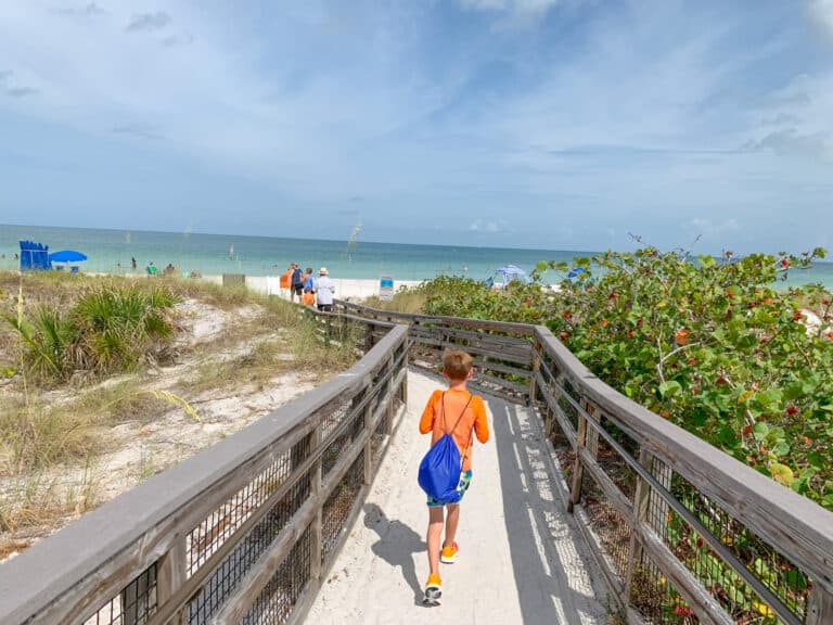How to plan your visit to Caladesi Island, one of America’s Top 10 Beaches