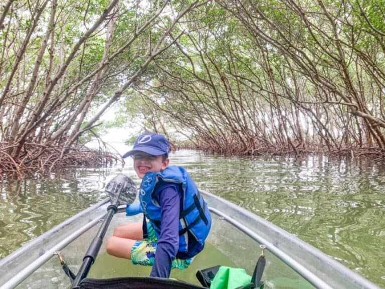 Get Up and Go Kayaking at Shell Key Preserve #1 for a Reason