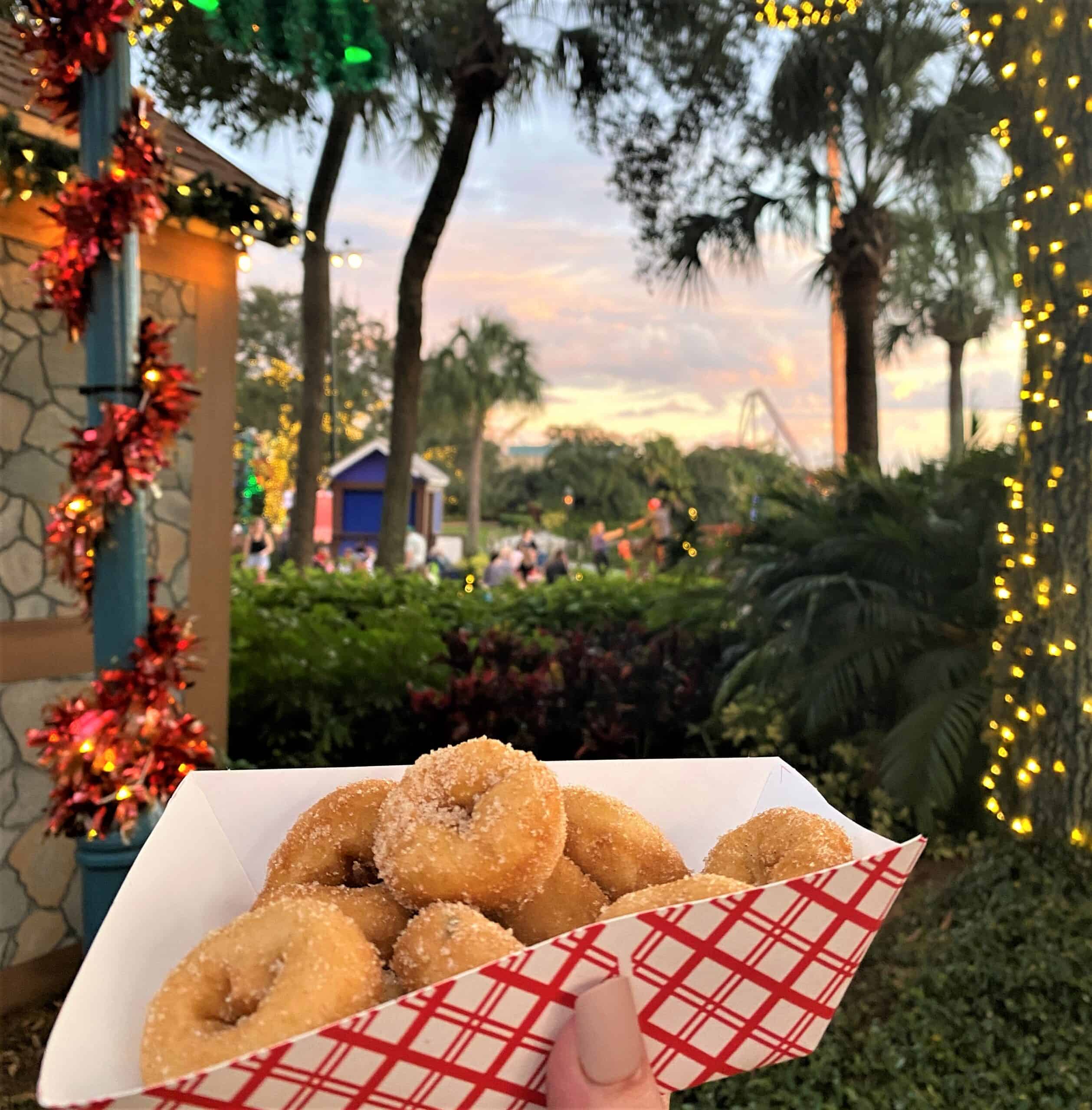 The photographer is holding a paper tray with Mini Donuts at SeaWorld Christmas Market. A sunset, some palm trees, and Christmas lights are in the background.