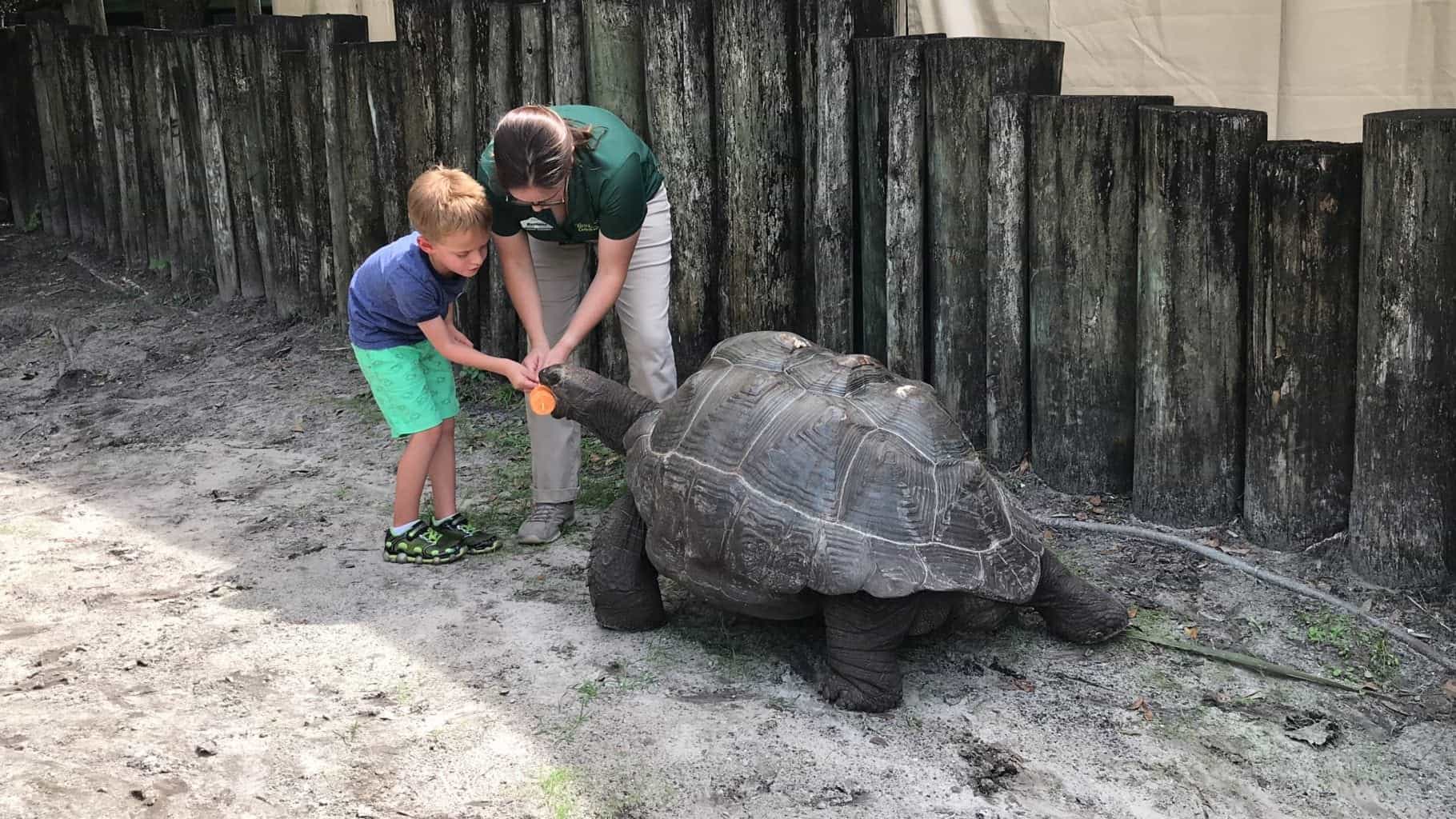 Animal Experiences in Tampa Bay