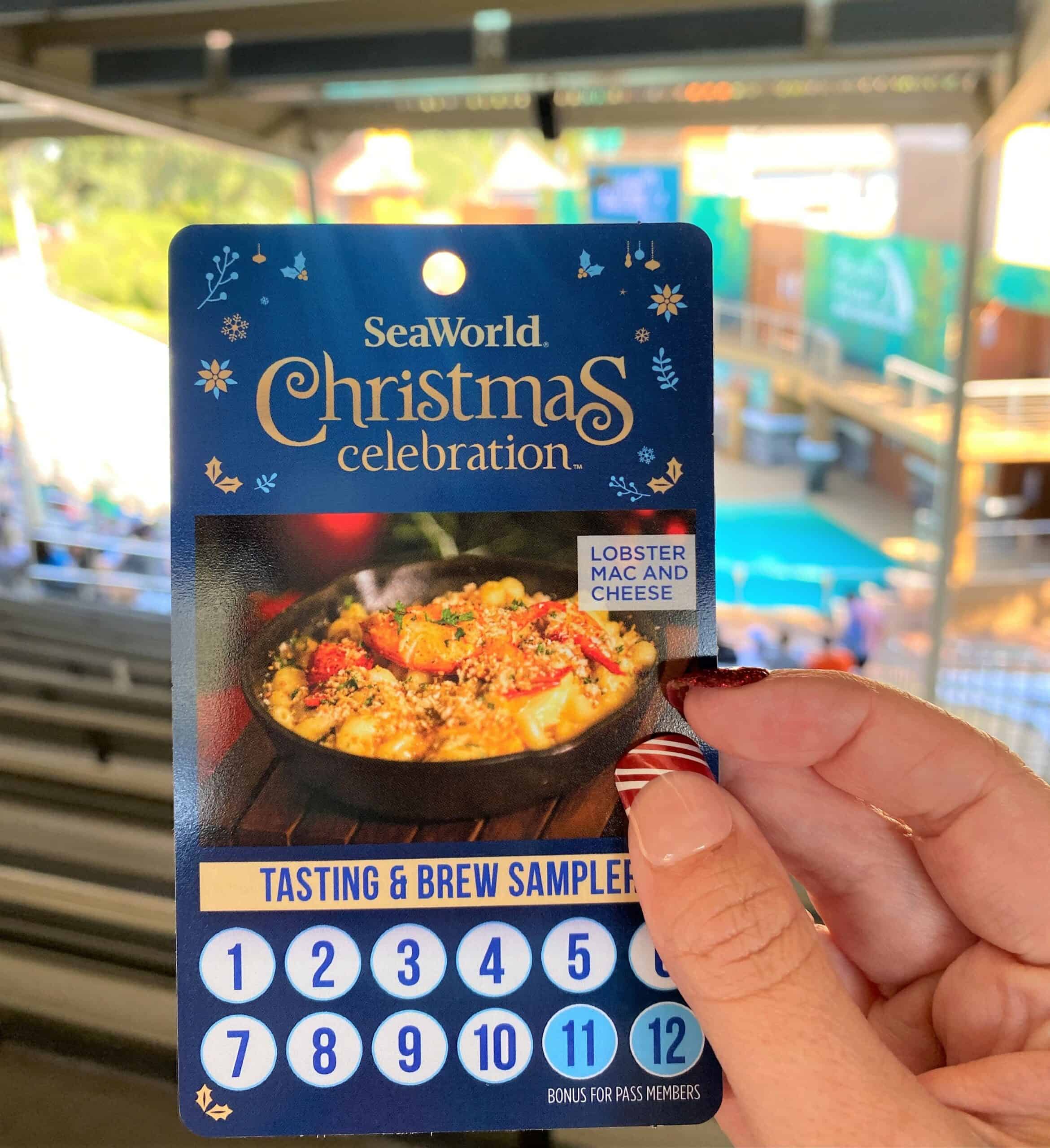 Endless KidFriendly Fun at SeaWorld's Christmas Celebration Tampa