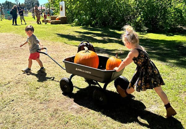 Tampa Bay’s Most Adorable Fall Festivals