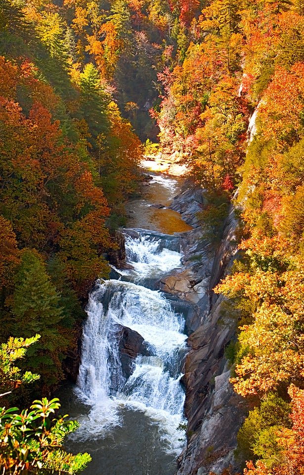 9 Scenic Road Trips to Experience The Beautiful Colors of Fall