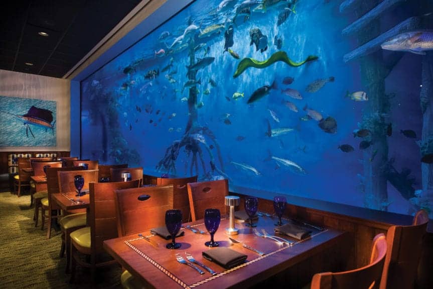 kid-friendly restaurants in tampa bay RumFish Grill St Pete Beach