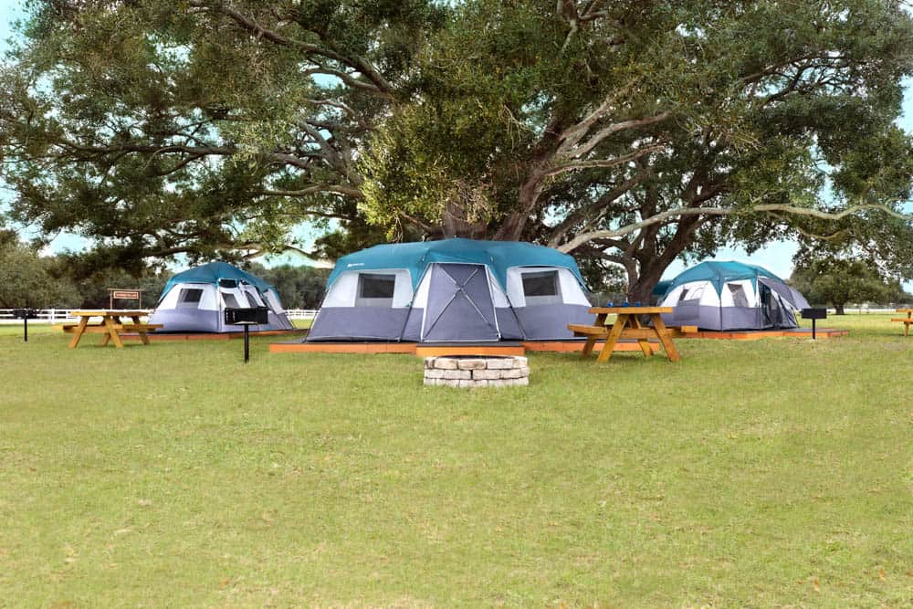 Westgate River Ranch Camping Platform tent