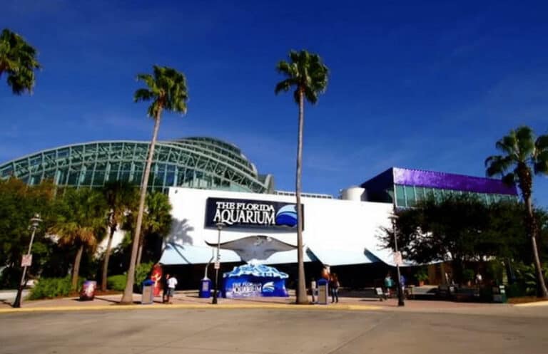 The Florida Aquarium