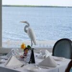 Savor the Season: Dine-In Spots for Christmas Brunch