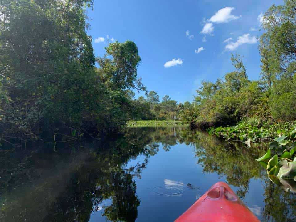 Kayaking in Tampa on the Little Manatee River