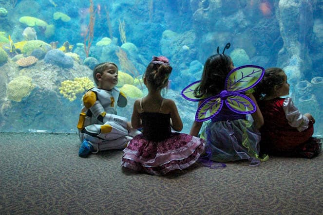 Guppyween is Back for Halloween Weekend Fun at the Florida Aquarium!