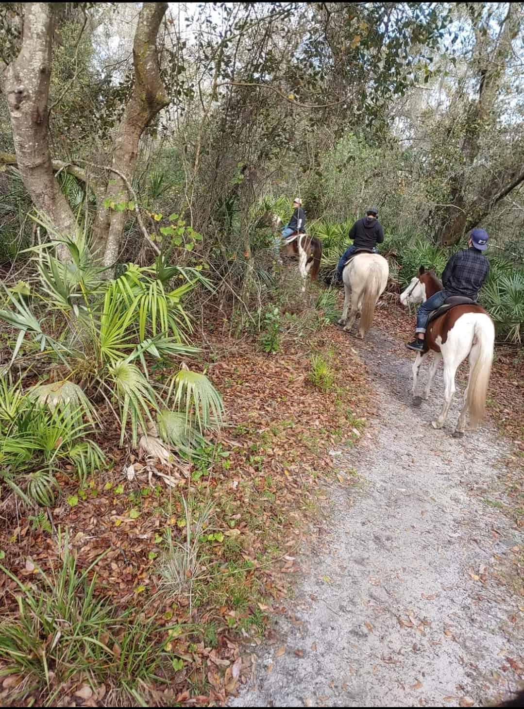 Horseback Trail Ride