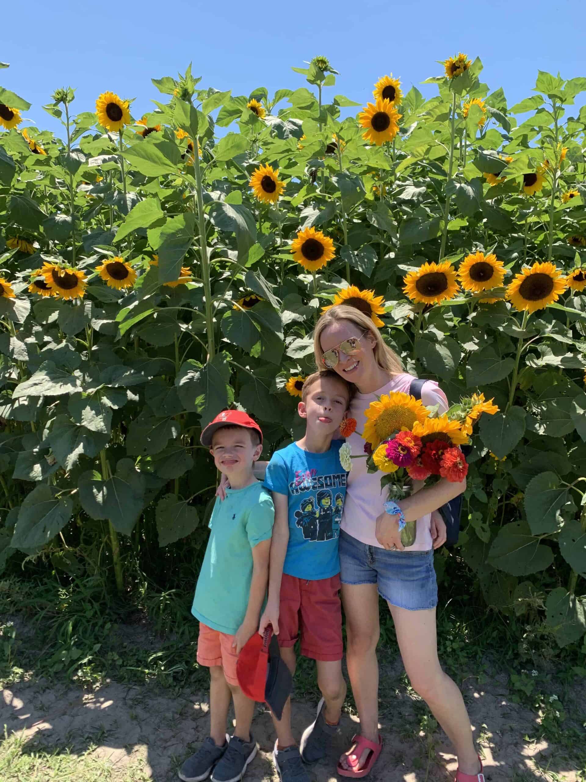 Sweetfields Farm sunflowers