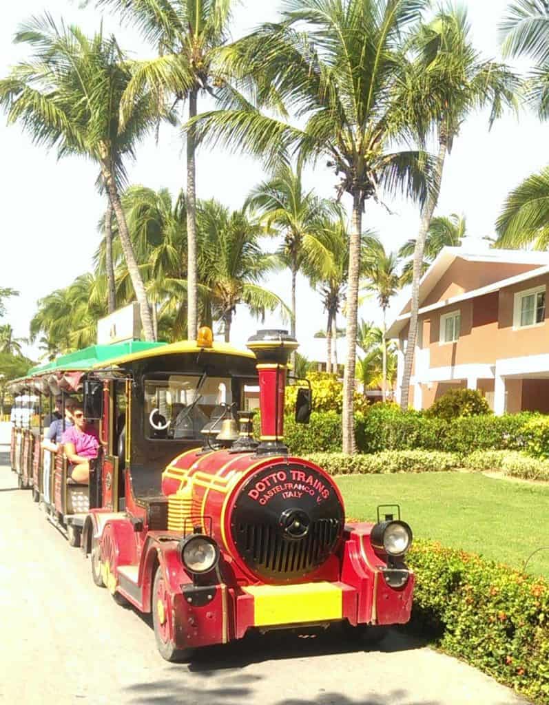 All aboard! Ride the train and tour the resort.