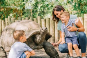 Giant Tortoise Encounter at ZooTampa