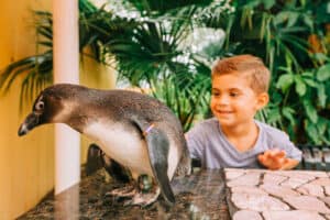 ZooTampa animal experiences