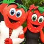 Florida Strawberry Festival