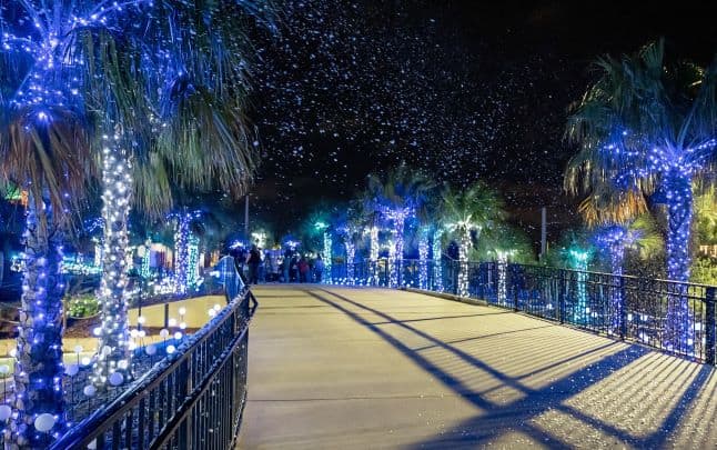 28+ Amazing Holiday Light Displays in Tampa Bay You Won’t Want to Miss