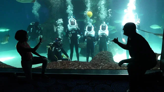 SeaTREK at The Florida Aquarium