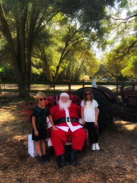 Christmas on the farm in Tampa Bay 