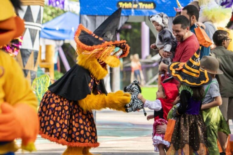 20+ FUN Things to Do in Tampa Bay this Weekend