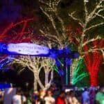 20+ FUN Things to Do in Tampa Bay this Weekend