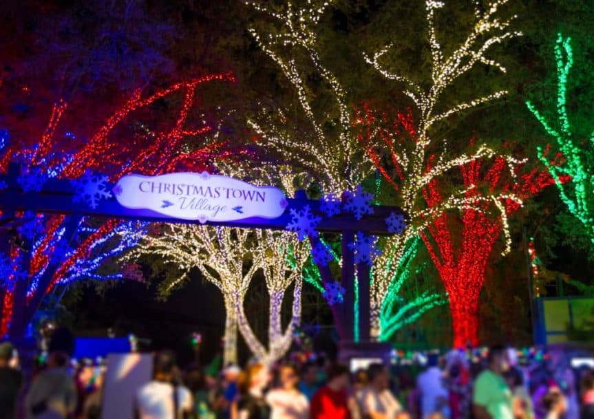 20+ FUN Things to Do in Tampa Bay this Weekend